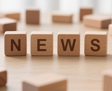 木托盤(pán)：被低估的“物流基石”，如何用自然之力重塑供應(yīng)鏈韌性